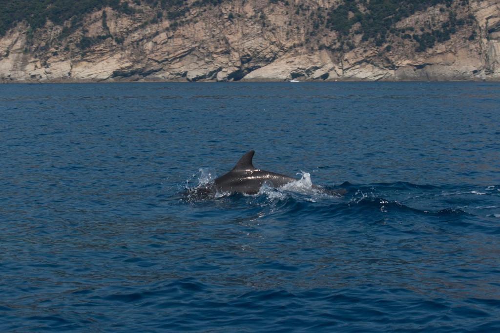 Affittacamere Mariella Levanto Buitenkant foto